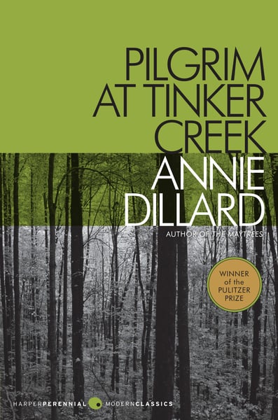 Pilgrim At Tinker Creek