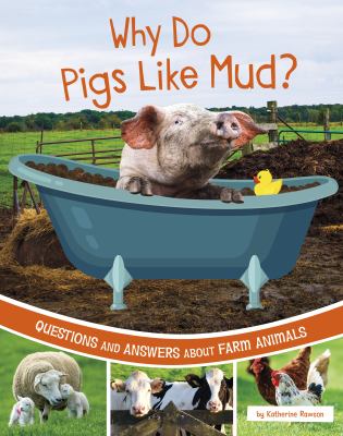 Why Do Pigs Like Mud? Questions And Answers About Farm Animals