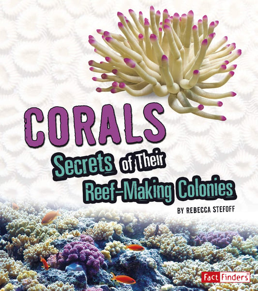 Corals: Secrets Of Their Reef-Making Colonies