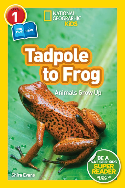 Tadpole To Frog