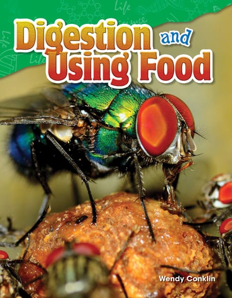 Digestion And Using Food