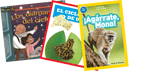 Take Home Pack, Grade 2 Below Level E-J (Spanish)