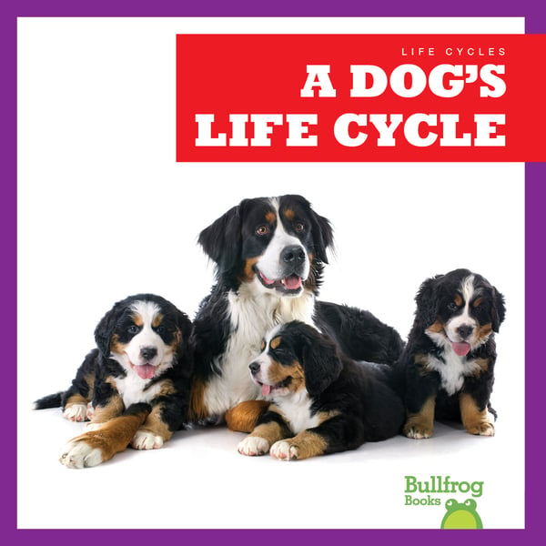 Dog's Life Cycle, A
