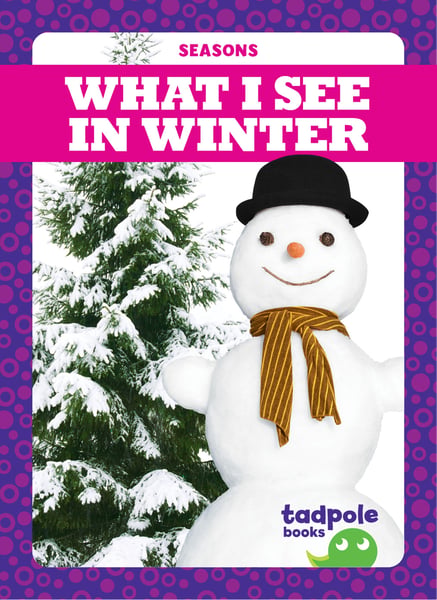 What I See In Winter