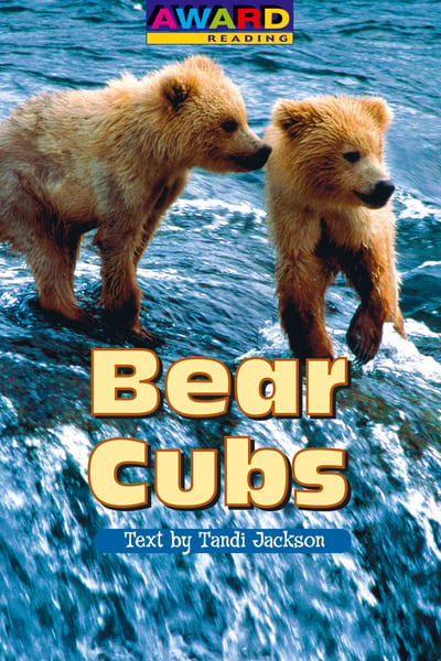 Bear Cubs
