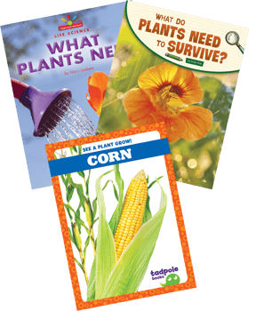 NGSS Kindergarten From Molecules To Organisms