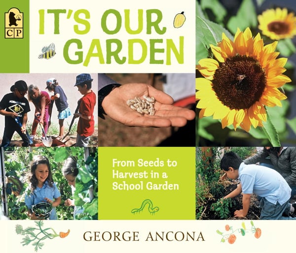 It's Our Garden: From Seeds To Harvest In A School Garden