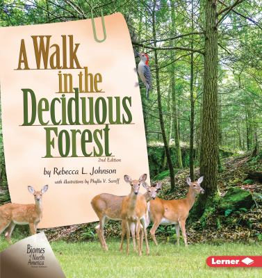 Walk In The Deciduous Forest