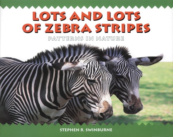 Lots And Lots Of Zebra Stripes: Patterns In Nature