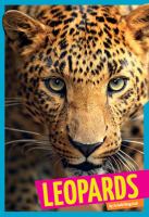 Leopards