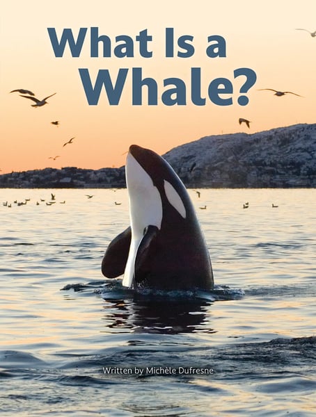 What Is A Whale?