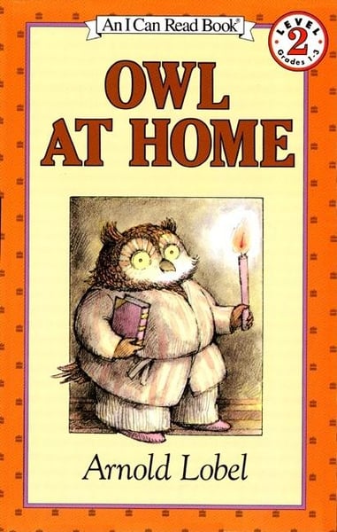 Owl At Home