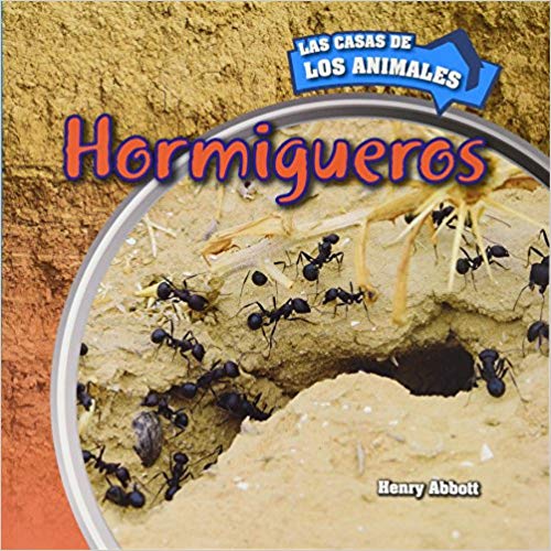 Hormigueros (Inside Anthills)