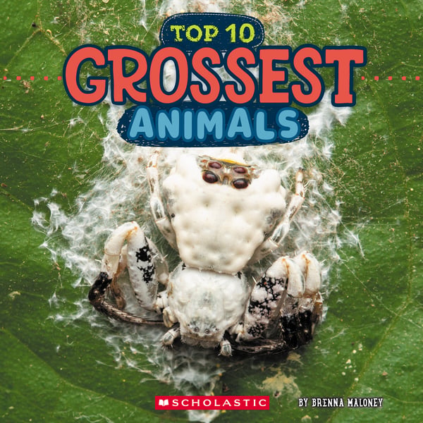 Top Ten Grossest Animals
