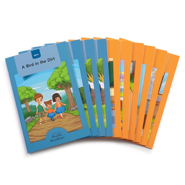 Level 3 Decodable Readers: Vowel Teams