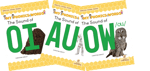 My Phonics Words: Special Vowel Teams