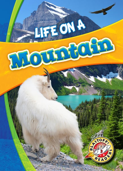 Life On A Mountain