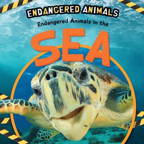 Endangered Animals In The Sea