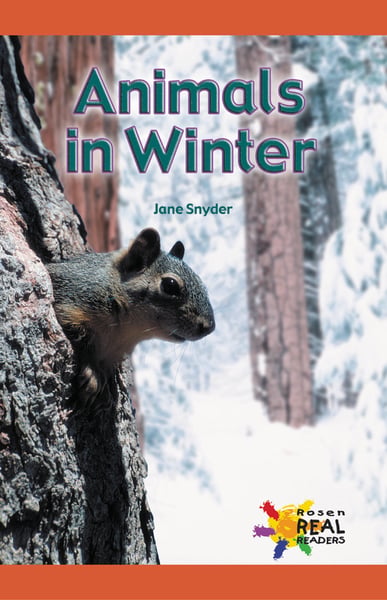 Animals In Winter