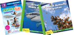 Informational Science (N-P) Grade 3