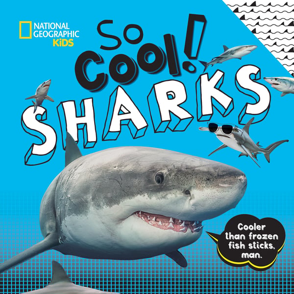 So Cool!: Sharks