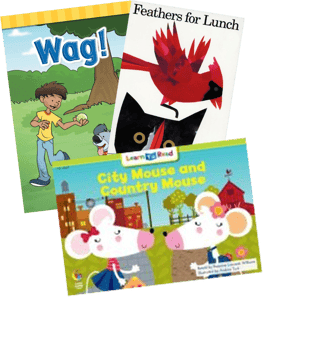 Below Level Reading Grade 1 (A-D)