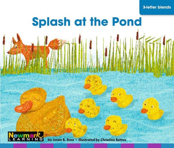 Splash At The Pond