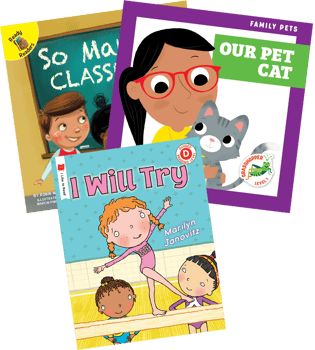 Level D Realistic Fiction