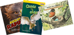 EL Education Grade 1 Module 3 Spanish Language Recommended Trade Books