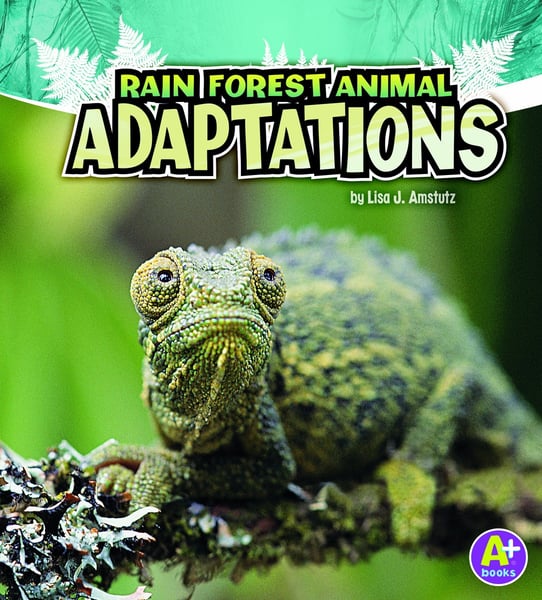 Rain Forest Animal Adaptations