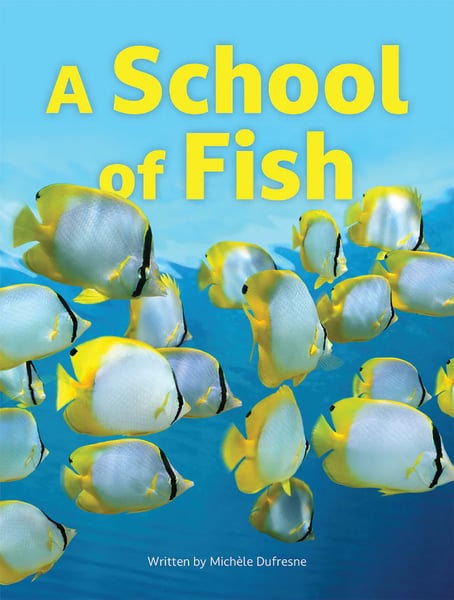 School Of Fish, A