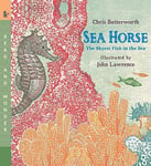 Sea Horse: The Shyest Fish In The Sea