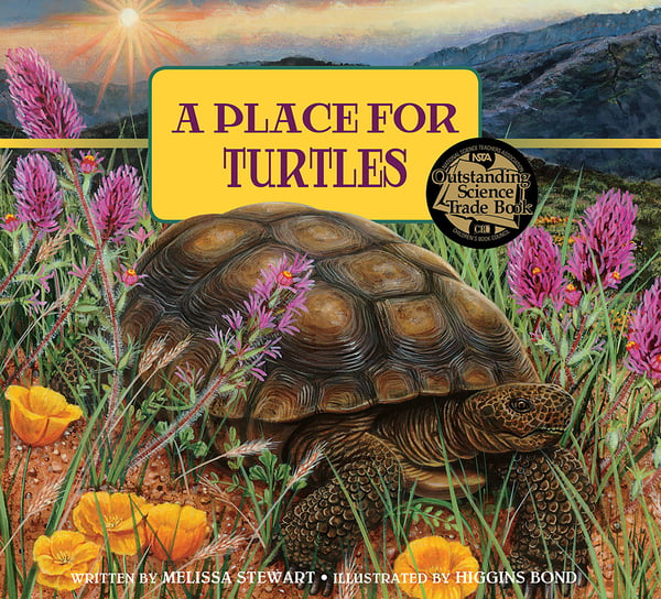 Place For Turtles, A