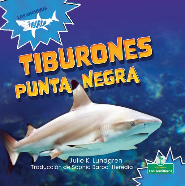 Tiburones Punta Negra (Blacktip Reef Sharks)