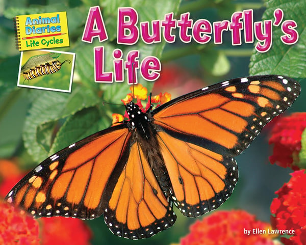Butterfly's Life, A