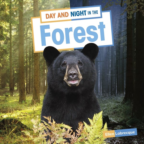 Day And Night In The Forest