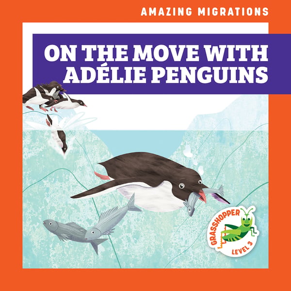 On The Move With Adelie Penguins