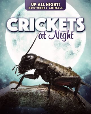Crickets At Night