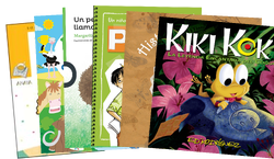 Authentic Spanish Collections