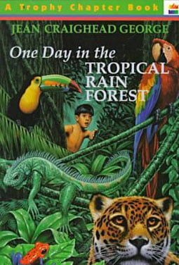 One Day In The Tropical Rain Forest
