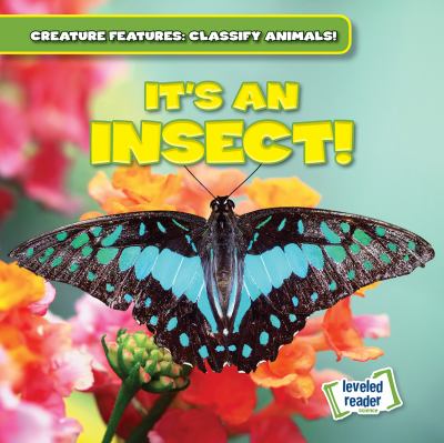 It's An Insect!