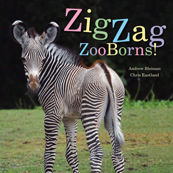 Zigzag Zooborns