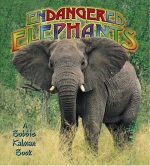 Endangered Elephants