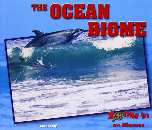 Ocean Biome, The