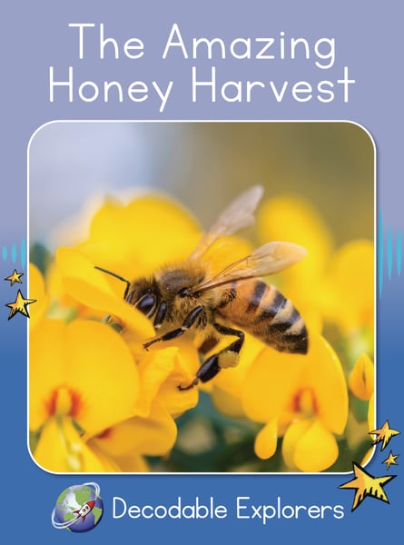 Amazing Honey Harvest, The