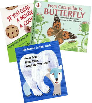 Favorite Big Books Collection