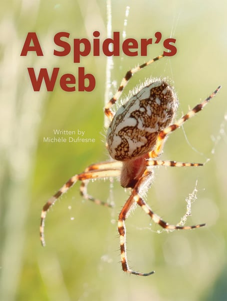 Spider's Web, A