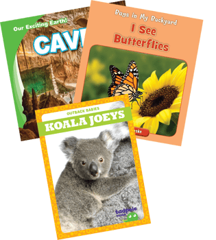 Below Level Informational Science (A-D) Grade 1