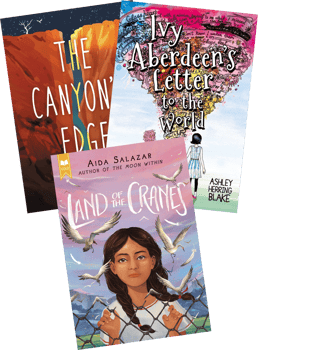 Above Level Realistic Fiction (Z) Grade 6