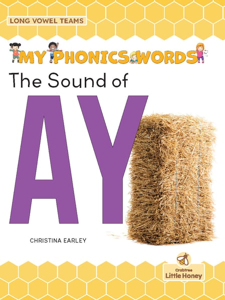 Sound Of AY, The